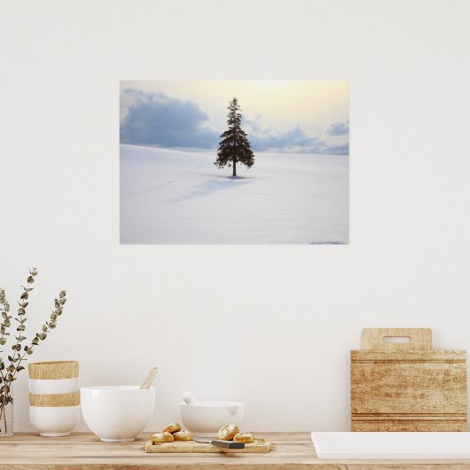 Pine tree, Hokkaido Poster (Keuken)