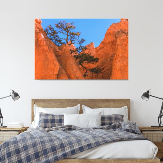 Pine Tree In Hoodoos  Canvas Afdruk (Insitu (Slaapkamer))