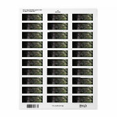 Pine Tree rustieke bos Bossen bruiloft uitnodiging Etiket (Full Sheet)