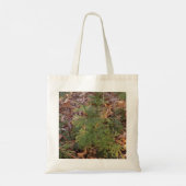 Pine Tree Sapling Photo Canvas Tote Bag (Achterkant)