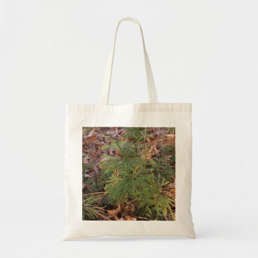 Pine Tree Sapling Photo Canvas Tote Bag (Voorkant)