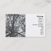 Pine Tree Silhouette Visitekaartje (Voorkant)