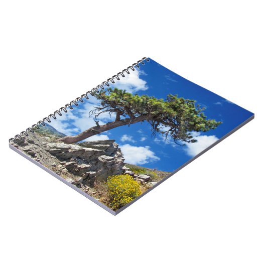 Pine Tree spiral notebook Notitieboek (Linkerzijde)
