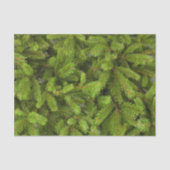 pine tree take tissuepapier (Voorkant)