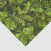 pine tree take tissuepapier (Detail)