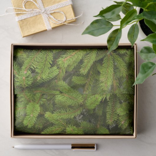 pine tree take tissuepapier (Geschenk)