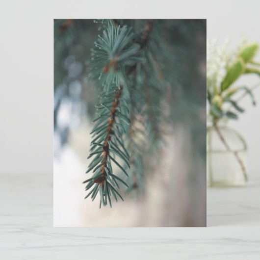 Pine Trees (Staand voorkant)