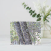 Pine Trees Briefkaart (Staand voorkant)