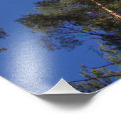 Pine Trees CC0278 Foto afdrukken (27 inch, 68 cm) (Hoek)