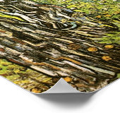 Pine Trees en Dandelions Van Gogh Fine Art Poster (Hoek)