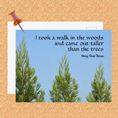 Pine Trees en Sky Thoreau Quote Walk in Bossen Briefkaart