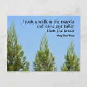 Pine Trees en Sky Thoreau Quote Walk in Bossen Briefkaart (Voorkant)
