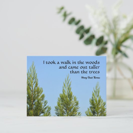 Pine Trees en Sky Thoreau Quote Walk in Bossen Briefkaart (Staand voorkant)