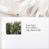 Pine Trees Etiket (Insitu)