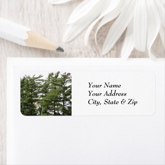 Pine Trees Etiket (Insitu)