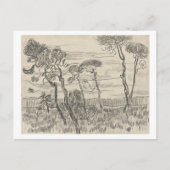 Pine Trees Front of Wall Asylum, Vincent van Gogh Briefkaart (Voorkant)