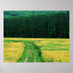 Pine Trees gele bloemen Natuur veld Poster