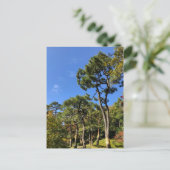 Pine Trees in het najaar van de hemel Briefkaart (Staand voorkant)