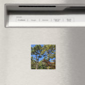 Pine Trees in het najaar van de hemel Magneet (Insitu (Vaatwasser))