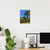 Pine Trees in het najaar van de hemel Poster (Thuiskantoor)