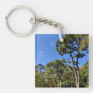 Pine Trees in het najaar van de hemel Sleutelhanger