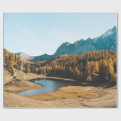 PINE TREES NEAR LAKE CADEAUPAPIER (Vlak)