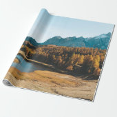 PINE TREES NEAR LAKE CADEAUPAPIER (Uitgerold)