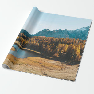 PINE TREES NEAR LAKE CADEAUPAPIER