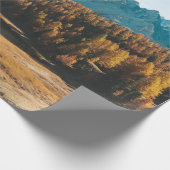 PINE TREES NEAR LAKE CADEAUPAPIER (Hoek)