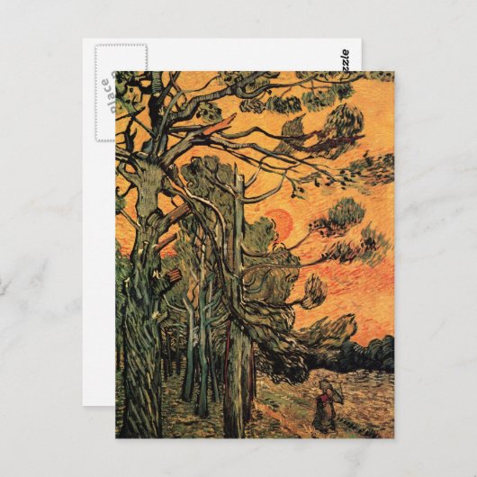 Pine Trees op zonsondergang door Vincent van Gogh Briefkaart (Voorkant / Achterkant)