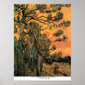 Pine Trees op zonsondergang door Vincent van Gogh Poster (Voorkant)