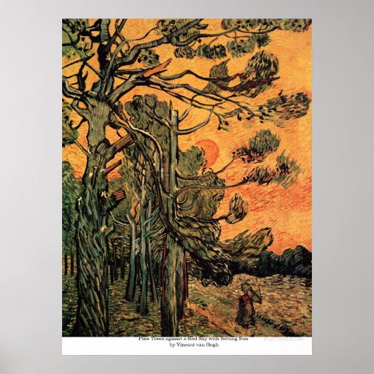 Pine Trees op zonsondergang door Vincent van Gogh Poster (Voorkant)