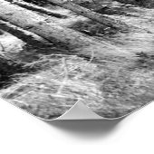 Pine Trees Poster (Hoek)