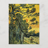 Pine Trees tegen een rode hemel Briefkaart (Voorkant)