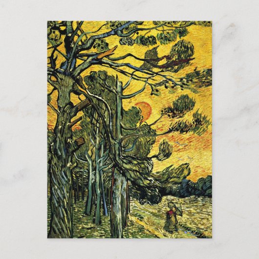 Pine Trees tegen een rode hemel Briefkaart (Voorkant)