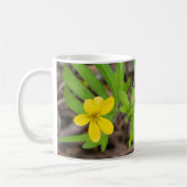 Pine Violet-Mok Koffiemok (Links)
