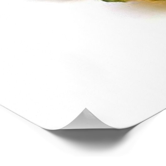 PINEAPPEL POSTER (Hoek)