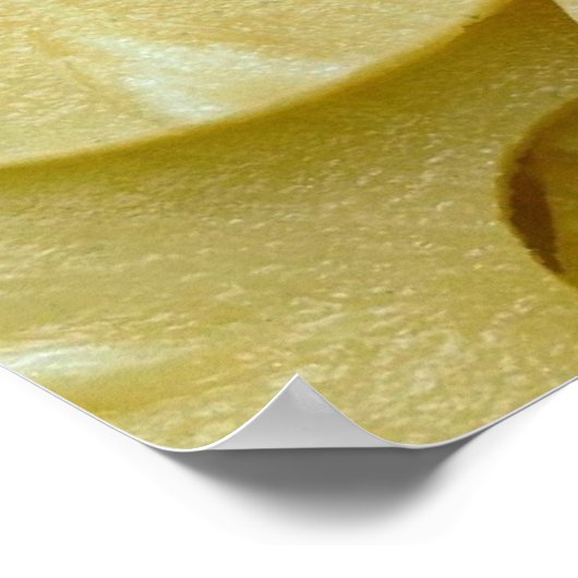 Pineappelmoten Poster (Hoek)