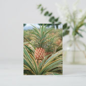 Pineappelveld Briefkaart (Staand voorkant)
