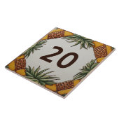 Pineapple Desert Plant Huis Nummer Teken Plaque Tegeltje (Zijkant)
