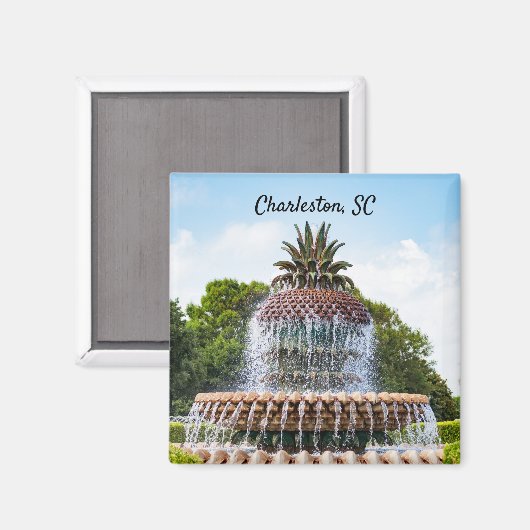 Pineapple Fountain in Charleston, SC Magneet (Voorkant / Achterkant)