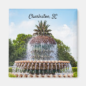 Pineapple Fountain in Charleston, SC Magneet (Voorkant)