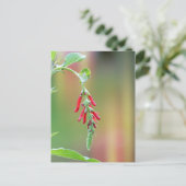 Pineapple Sage Bloom Briefkaart (Staand voorkant)