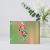 Pineapple Sage Bloom Briefkaart (Staand voorkant)