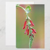 Pineapple Sage Bloom Briefpapier (Voorkant / Achterkant)