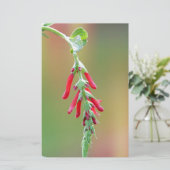 Pineapple Sage Bloom Briefpapier (Staand voorkant)