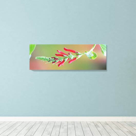 Pineapple Sage Bloom Canvas Afdruk (Insitu (Houten vloer))