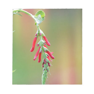Pineapple Sage Bloom Notitieblok