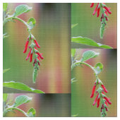 Pineapple Sage Bloom Stof (Close Up)