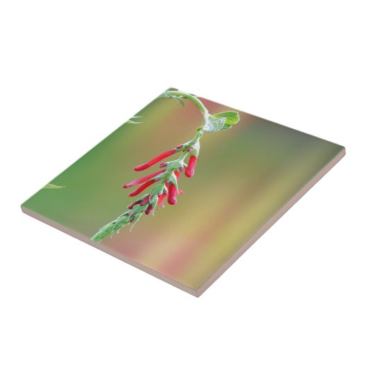 Pineapple Sage Bloom Tegeltje (Zijkant)